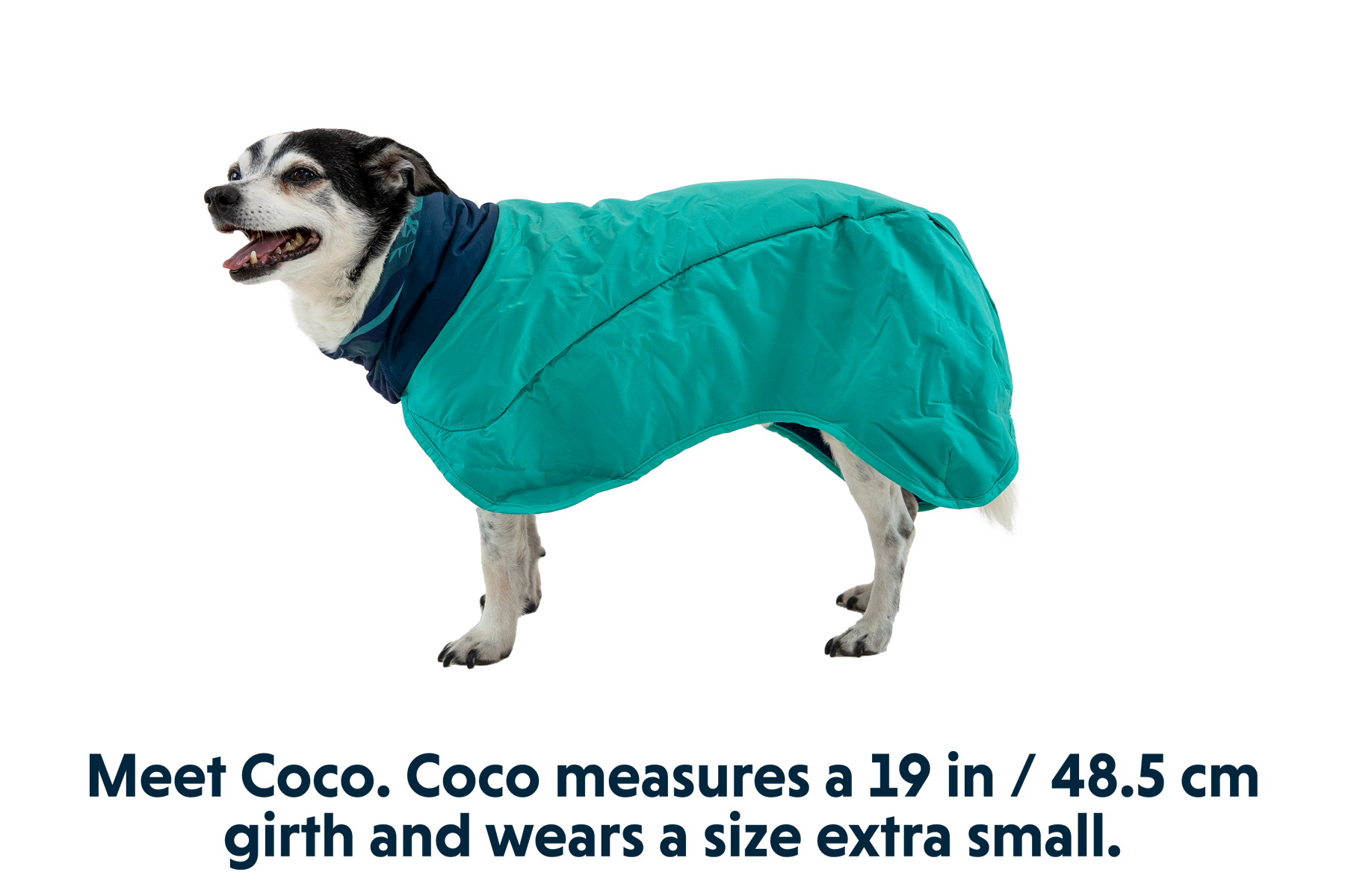 0517_Dirtbag-Dog-Towel_Aurora-Teal_COCO_XSmall_21708227-a054-4fb5-8fd1-cc874f9ca683.png