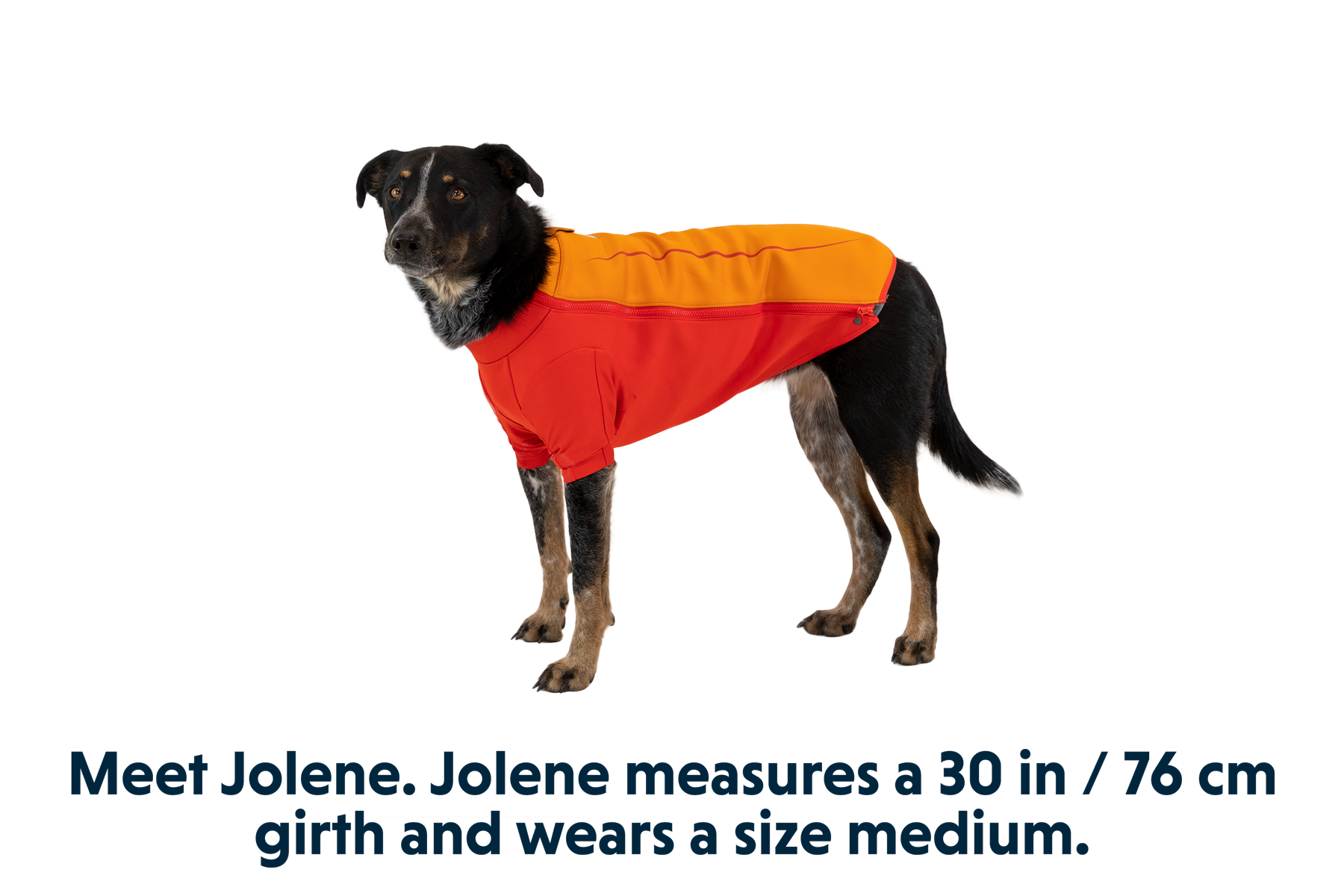 0535_Undercoat_Campfire-Orange_JOLENE_Medium_8def0450-28af-47b9-a25c-edd899015c51.png