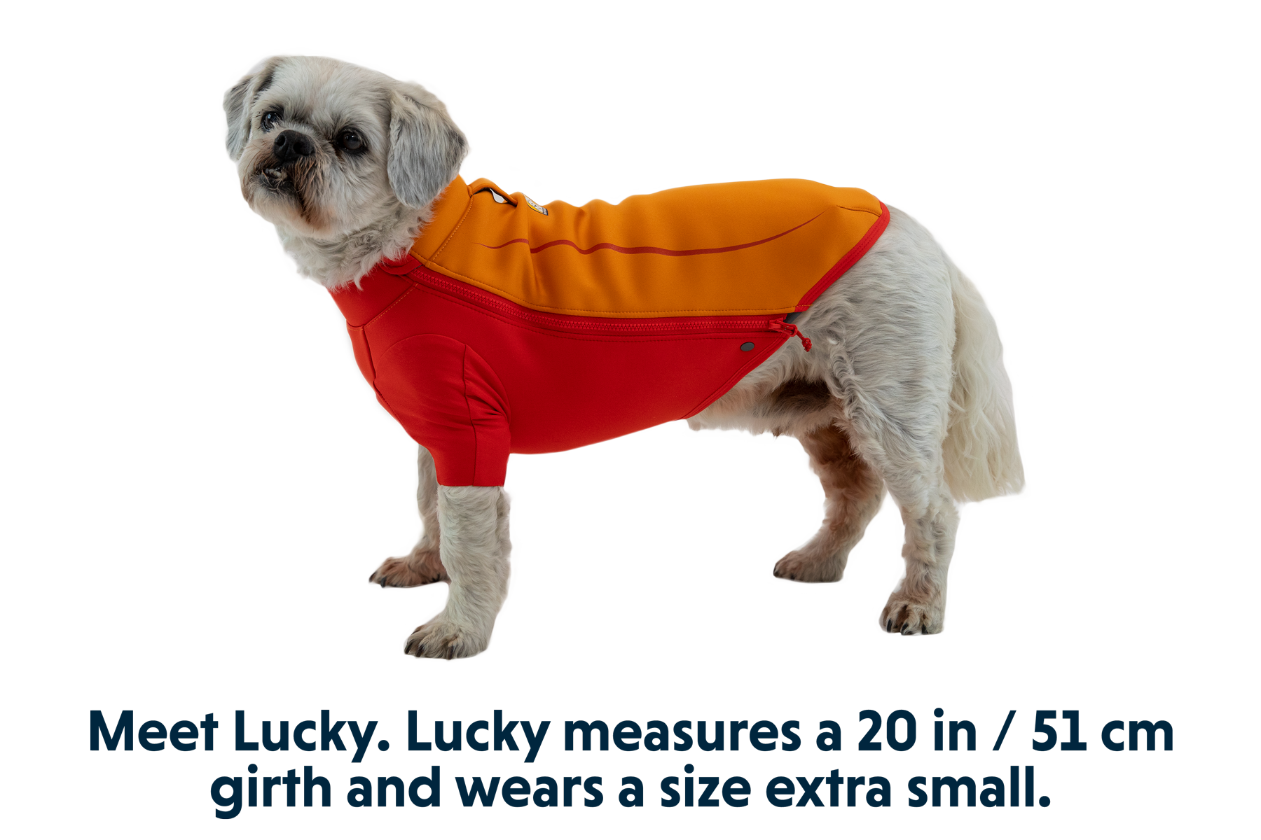 0535_Undercoat_Campfire-Orange_LUCKY_XSmall.png