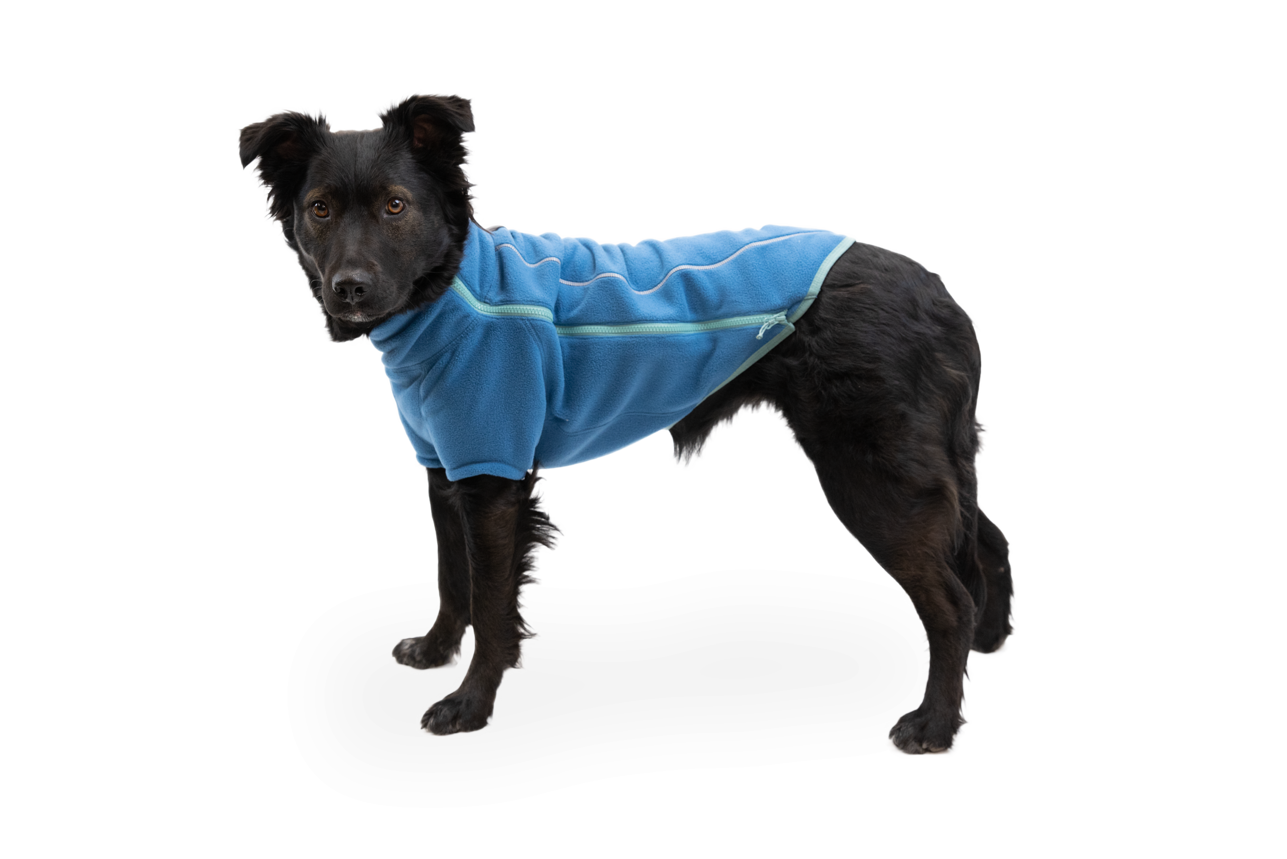 05503-Climate-Changer-Jacket-BlueJay-Raya-Small_9b6f0df7-3940-4a51-b94b-8985600ae481.png