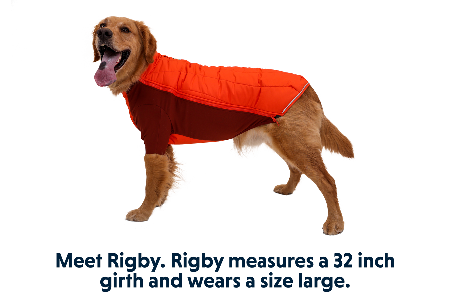 05702_Powder-Hound_Persimmon-Orange_RIGBY_Large_59b229ab-542f-41e5-9f91-f9ceb811aedf.png