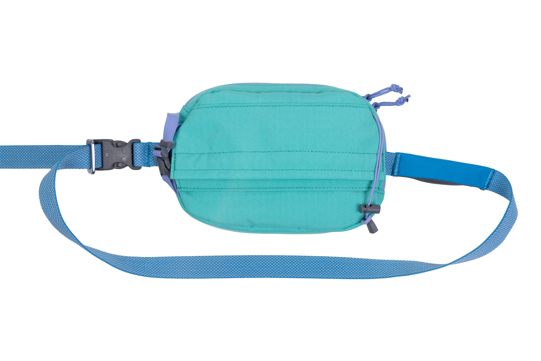 3574_StashBagPlus_AuroraTeal_Leash_SMALL_71fb1a1b-a70b-40a4-ba04-4dfeef17ce85.png