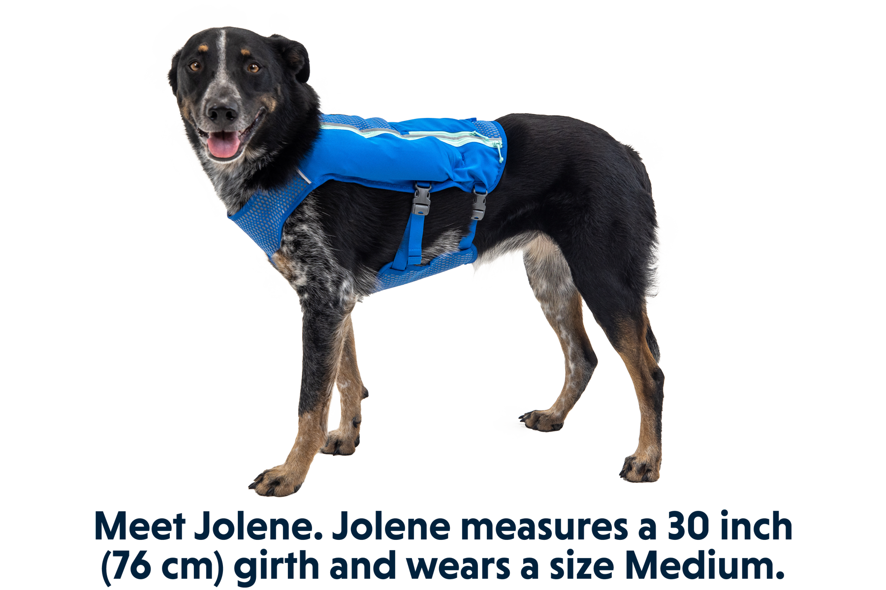 5080_Trail-Runner-Running-Vest_Jolene_Medium_cb36881d-3820-4dc8-893f-d8c152274696.png