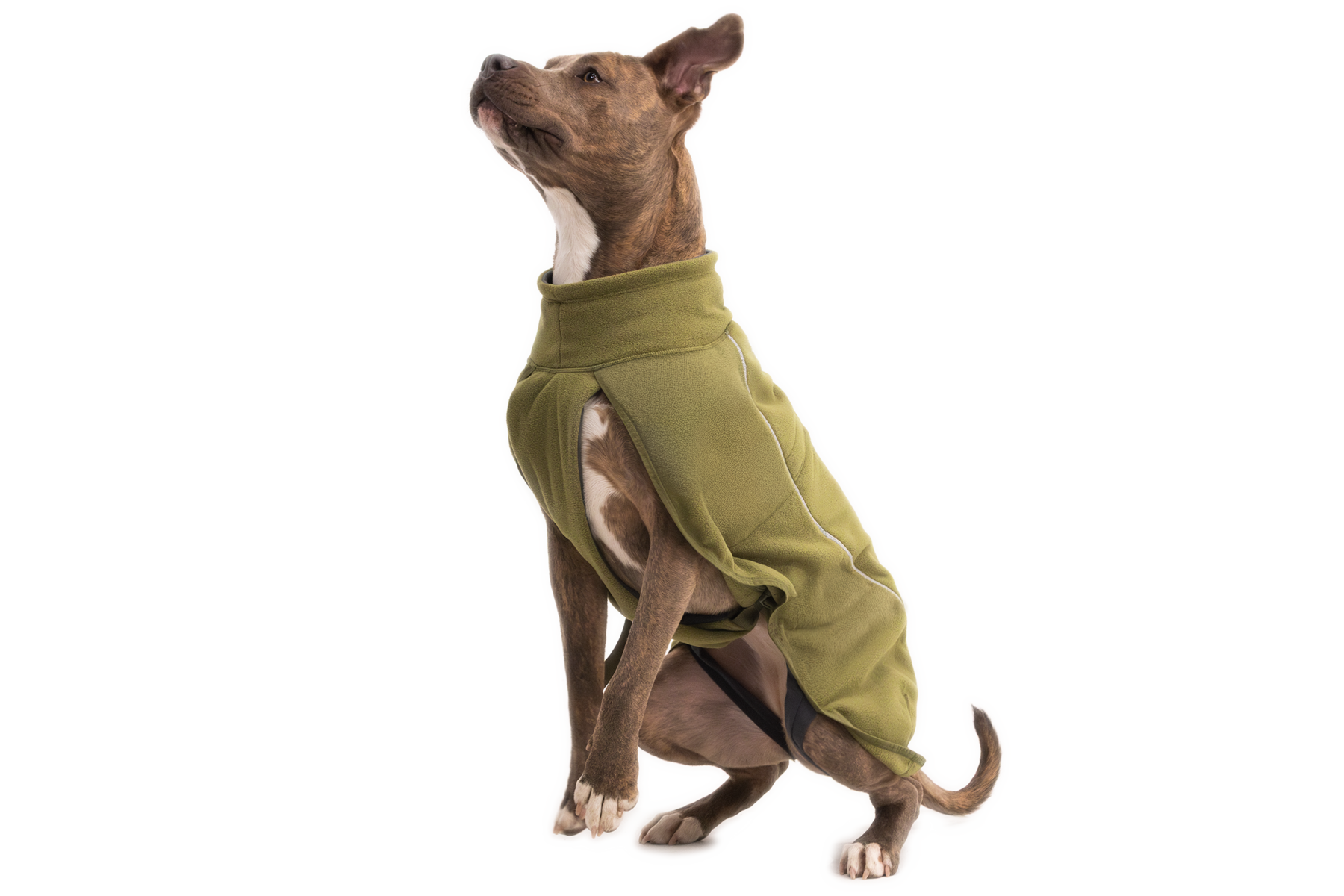 CompressedPNG-0588_Climate-Changer-Fleece-Vest_Cedar-Green_On-Dog-Action-1_STUDIO.png