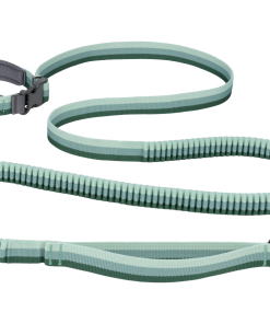 Roamer Lock™  Bungee Dog Leash