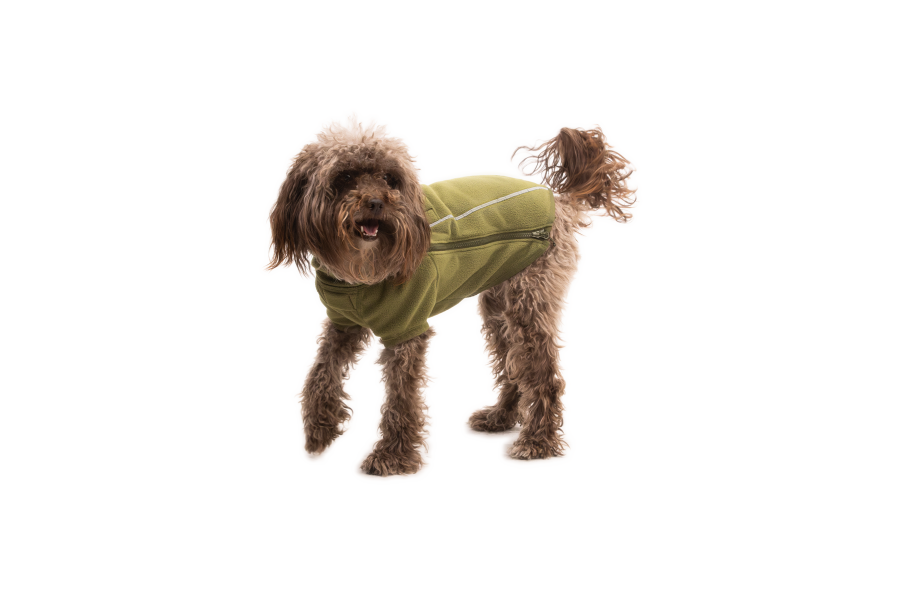 Compressed_PNG-05504_Climate-Changer-Jacket_Cedar-Green_On-Dog-Action-2_STUDIO.png