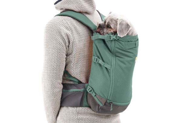 Web_JPG-3565_Hitch-Hiker-Backpack_River-Rock-Green_On-Back_STUDIO.png